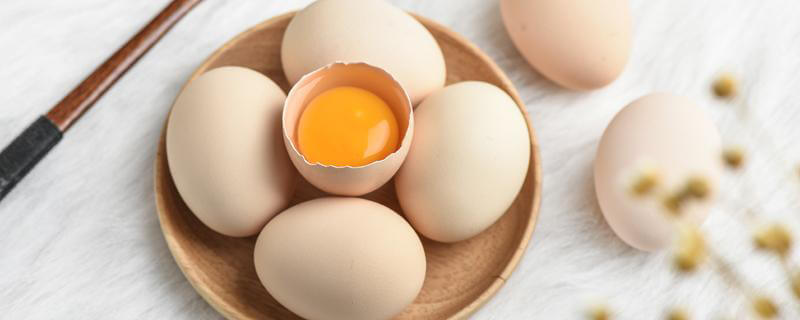 egg