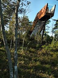 Forest Stair in Stokke